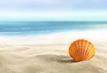 里昂新星突破赛场得分！