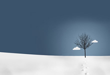 利物浦反超淘汰对手，晋级四强