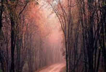 九游体育入口-短板无力火箭客场失利:全方位剖析球队现状与未来突破之道