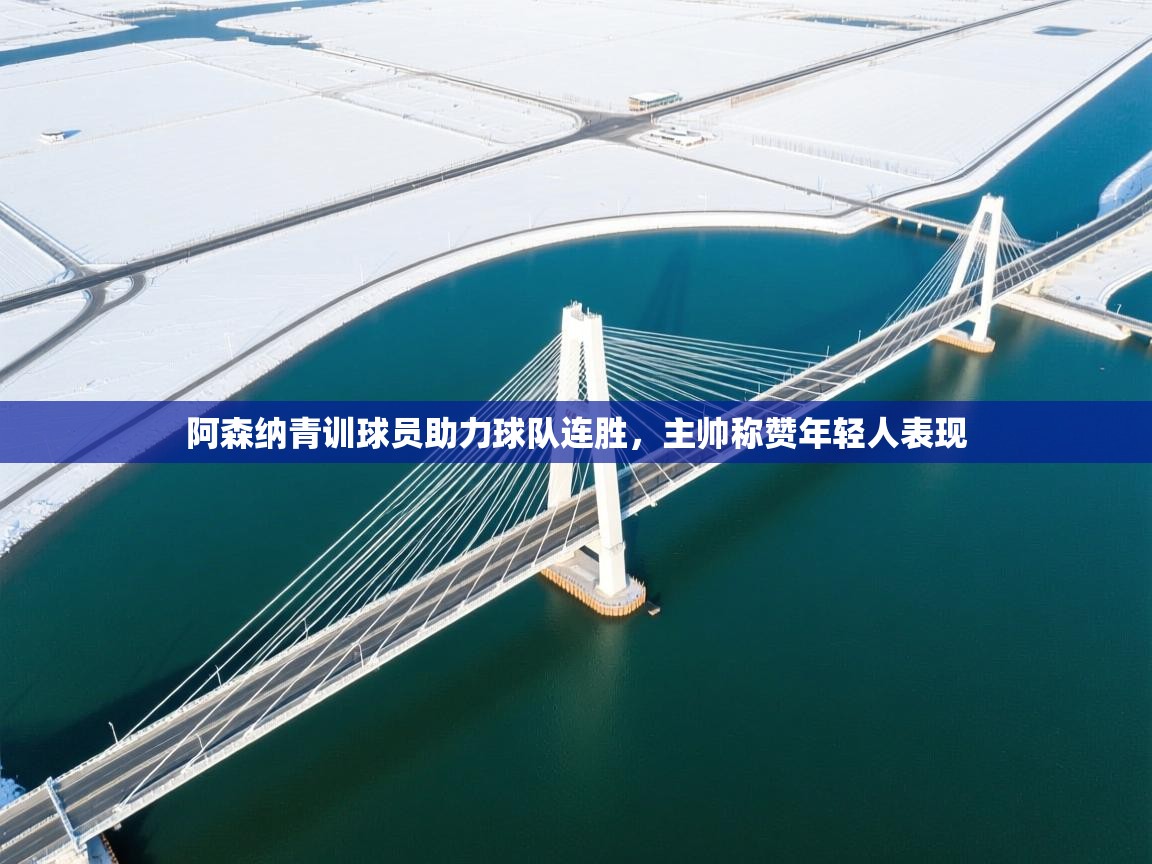 阿森纳青训球员助力球队连胜，主帅称赞年轻人表现  第2张