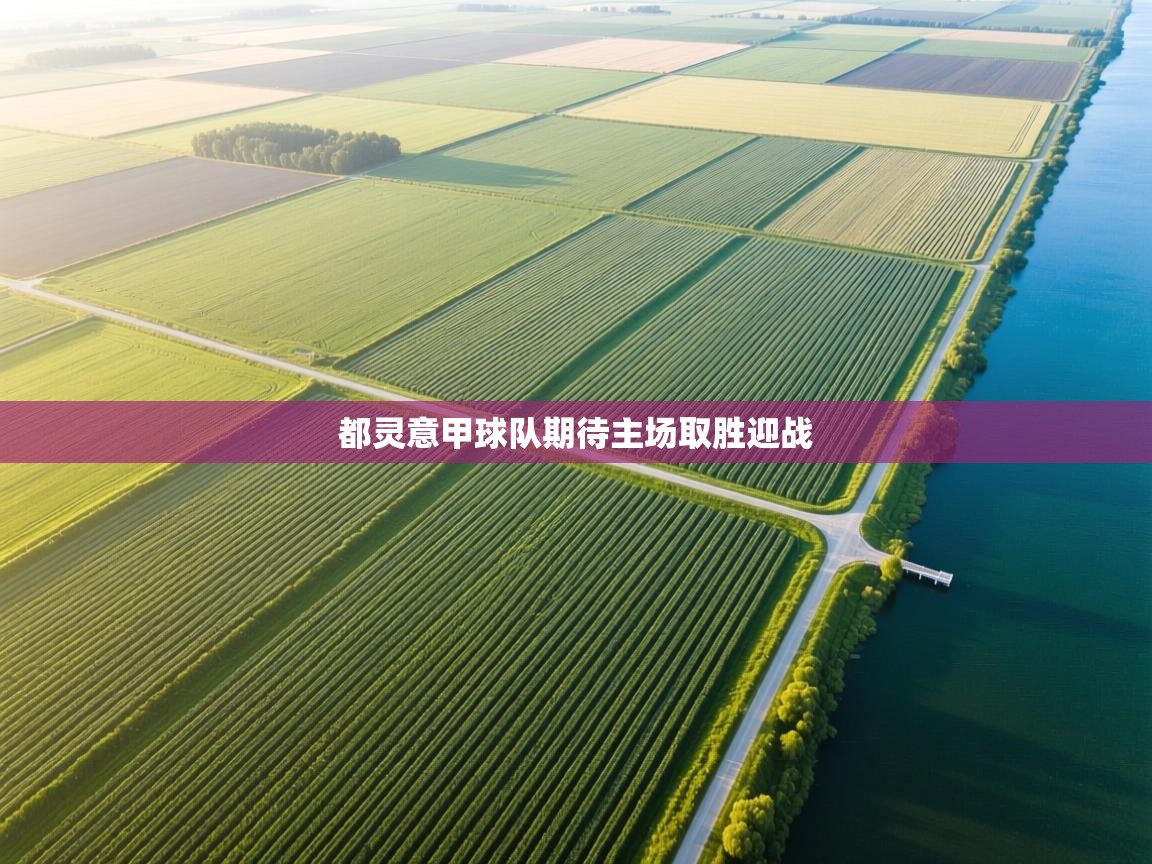 都灵意甲球队期待主场取胜迎战  第2张