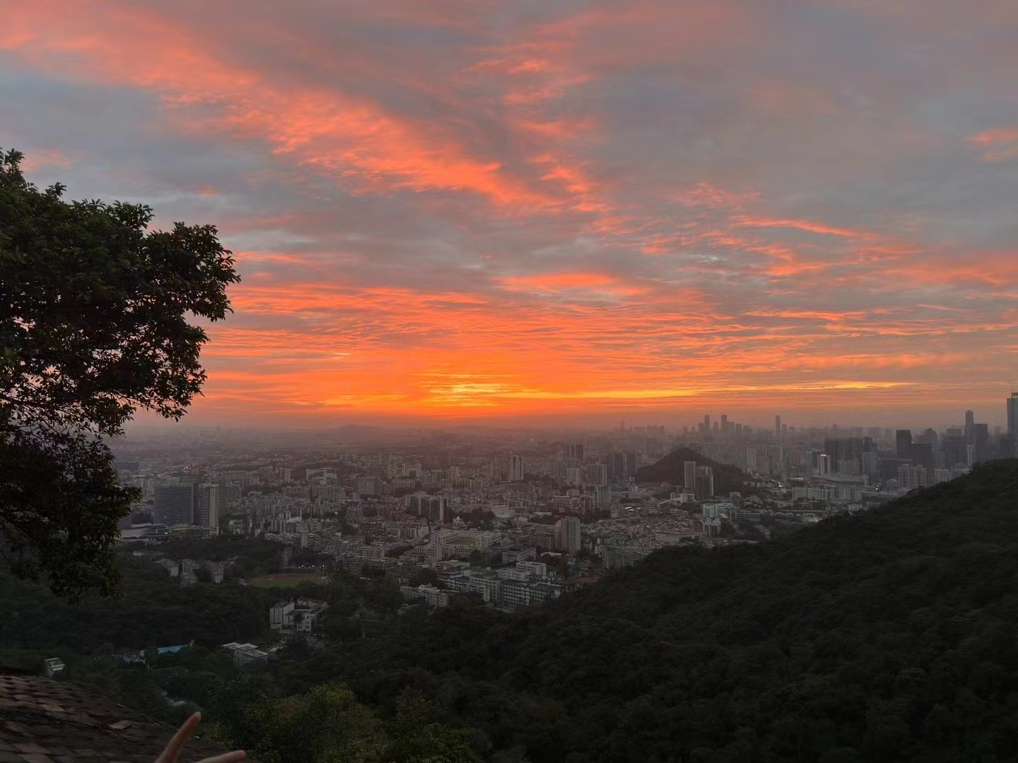 包含夺冠热门受追捧，能否一路顺风？的词条
