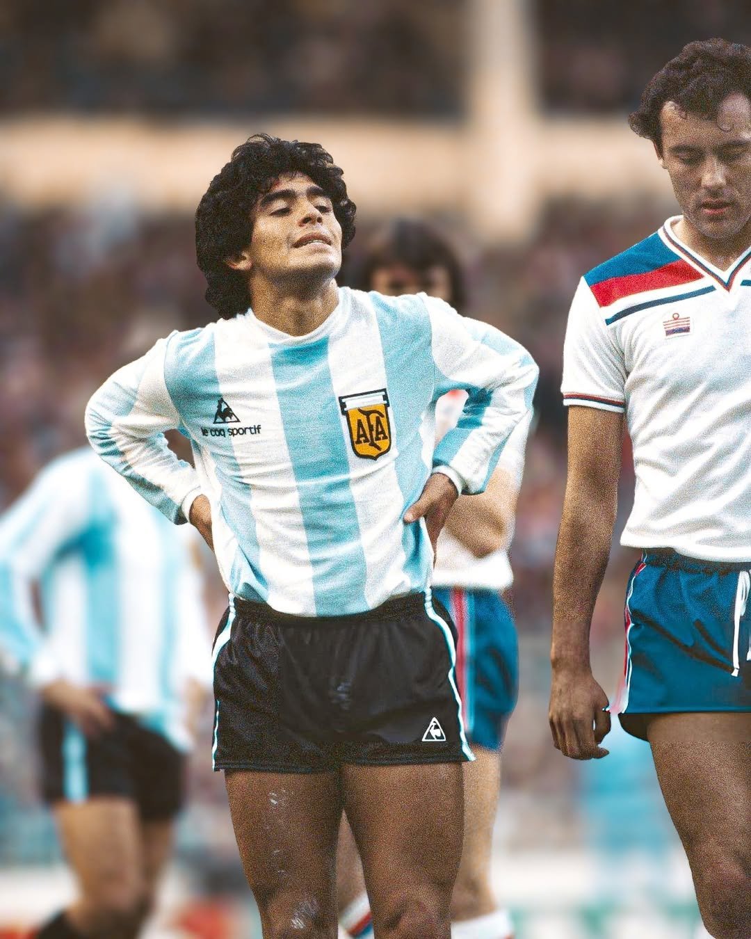 马拉多纳生日宴会将在阿根廷举行 马拉多纳生日宴会将在阿根廷举行