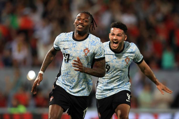 九游体育登录-瑞典队不敌荷兰,无缘欧国联半决赛的简单介绍